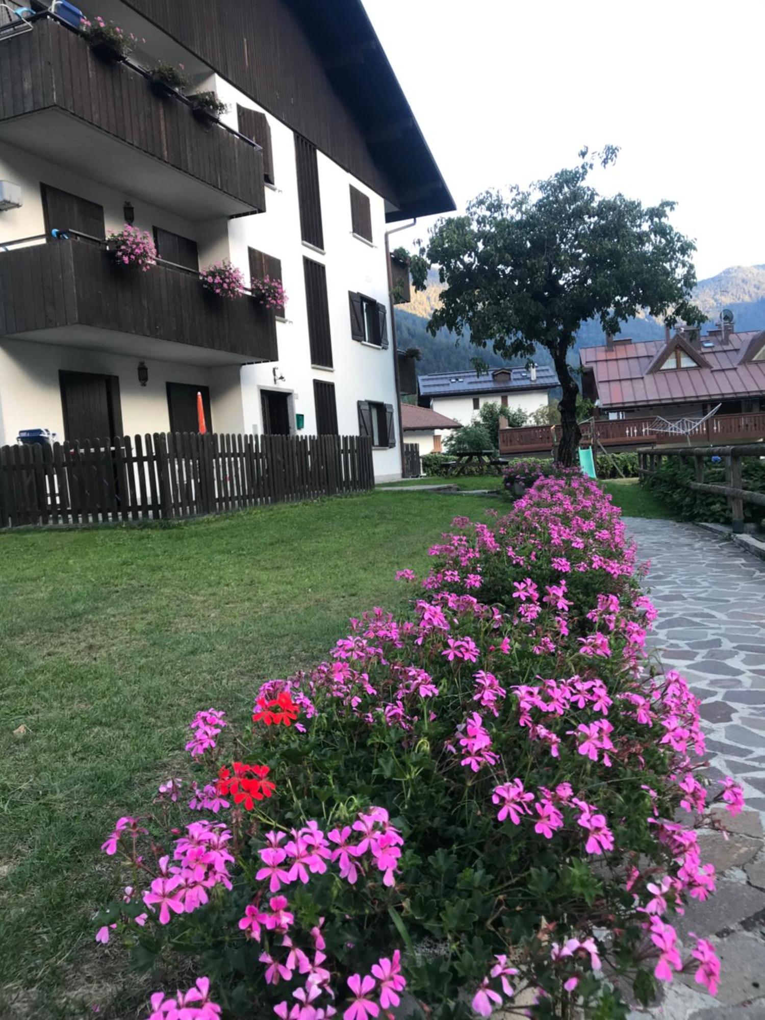 Care Alto Apartment Carisolo Exterior photo